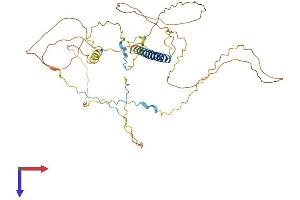 AKAP5 Protein (AA 1-427) (His tag)