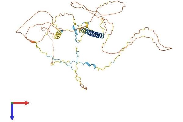 AKAP5 Protein (AA 1-427) (His tag)