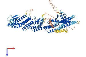 TUBGCP4 Protein (AA 1-667) (His tag)