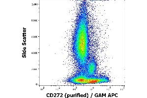Flow cytometry surface staining pattern of human peripheral whole blood stained using anti-human CD272 (MIH26) purified antibody (concentration in sample 1,7 μg/mL, GAM APC). (BTLA Antikörper)