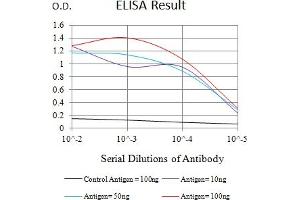 Black line: Control Antigen (100 ng),Purple line: Antigen (10 ng), Blue line: Antigen (50 ng), Red line:Antigen (100 ng) (Thrombomodulin Antikörper  (AA 297-505))
