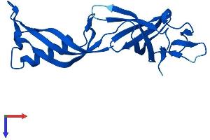 POLR2G Protein (AA 1-172) (His tag)