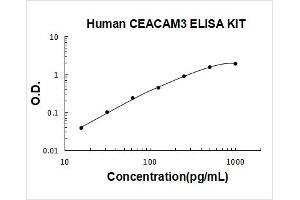 Carcinoembryonic Antigen-Related Cell Adhesion Molecule 3 (CEACAM3) ELISA Kit