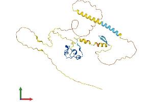 Protein Structure (PS) image for CXXC Finger Protein 5 (CXXC5) (AA 1-322) protein (His tag) (ABIN7546912)