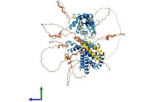 Protein Structure (PS) image for Ras and Rab Interactor 2 (RIN2) (AA 1-903) protein (His tag) (ABIN7564990)