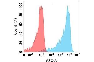Flow cytometry analysis with Anti-A (DM186) on Expi293 cells transfected with human A (Blue histogram) or Expi293 transfected with irrelevant protein (Red histogram).