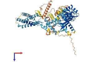 DAGLB Protein (AA 1-672) (His tag)