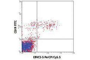 Flow Cytometry (FACS) image for anti-Fc Fragment of IgE, Low Affinity II, Receptor For (CD23) (FCER2) antibody (PerCP-Cy5.5) (ABIN2660318) (FCER2 Antikörper  (PerCP-Cy5.5))