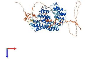 TTC15 Protein (AA 1-735) (His tag)