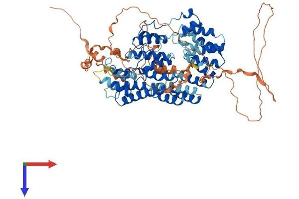 TTC15 Protein (AA 1-735) (His tag)