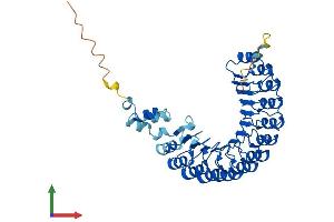 Protein Structure (PS) image for F-Box and Leucine-Rich Repeat Protein 20 (FBXL20) (AA 1-436) protein (His tag) (ABIN7560804)