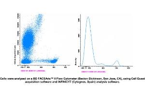 Image no. 1 for anti-CD8 (CD8) antibody (CF405M) (ABIN1112231) (CD8 Antikörper  (CF405M))