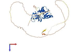 RNF146 Protein (AA 1-359) (His tag)