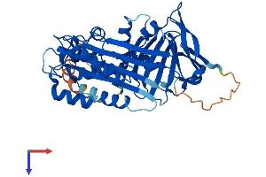 SERPINB10 Protein (AA 1-397) (His tag)
