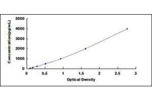 Typical standard curve (LAMP2 ELISA Kit)