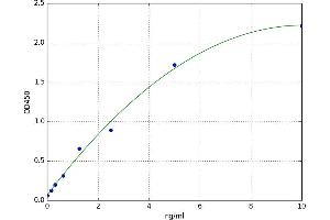 Heme Oxygenase (Decycling) 2 (HMOX2) ELISA Kit