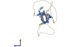 Protein Structure (PS) image for Cholinergic Receptor, Muscarinic 5 (CHRM5) (AA 1-532) protein (His tag) (ABIN7551805)