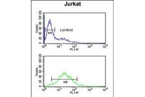 TPC6A Antibody (N-term) (ABIN651480 and ABIN2840261) flow cytometric analysis of Jurkat cells (bottom histogram) compared to a negative control cell (top histogram). (TRAPPC6A Antikörper  (N-Term))