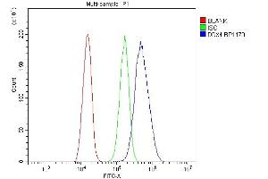 Flow Cytometry analysis of SiHa cells using anti-DDX4 antibody (ABIN7601203).