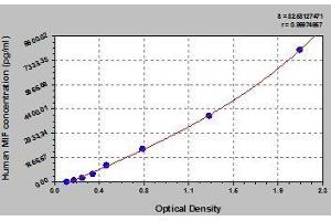Typical standard curve (MIF ELISA Kit)