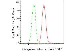 Flow cytometric analysis of Caspase 8 expression in HeLa cells using Caspase 8 antibody (ABIN7797905), 1:2,000).
