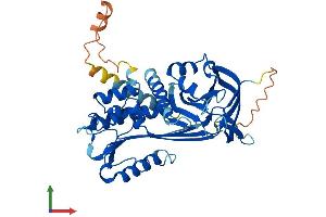 Protein Structure (PS) image for Plasminogen Activator Inhibitor 2 (SERPINB2) (AA 1-415) protein (His tag) (ABIN7562847)