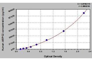 Typical standard curve (ARPC2 ELISA Kit)