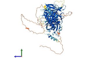 Protein Structure (PS) image for WD Repeat Containing Planar Cell Polarity Effector (WDPCP) (AA 1-746) protein (His tag) (ABIN7547872)