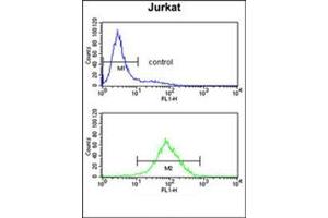 Flow cytometry analysis of Jurkat cells using PPM1H Antibody  (bottom histogram) compared to a negative control cell (top histogram). (PPM1H Antikörper  (Middle Region))