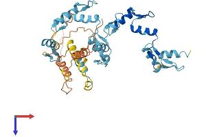 ZNF547 Protein (AA 1-402) (His tag)