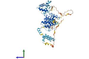 AlphaFold protein structure predicition of Human Recombinant DEPDC1B Protein, UniprotID Q8WUY9