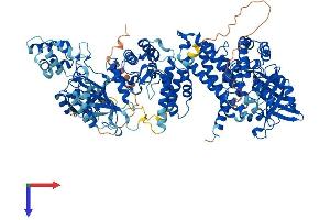 ACAD10 Protein (AA 1-1059) (His tag)