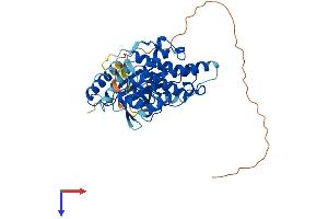 JNK2 Protein (AA 1-424) (His tag)