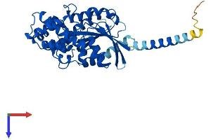 GNAL Protein (AA 1-381) (His tag)