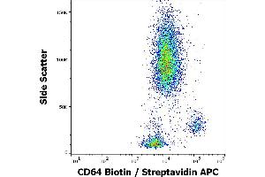 Flow cytometry surface staining pattern of human peripheral whole blood stained using anti-human CD64 (10. (FCGR1A Antikörper  (Biotin))