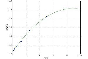 Uncoupling Protein 3 (Mitochondrial, Proton Carrier) (UCP3) ELISA Kit