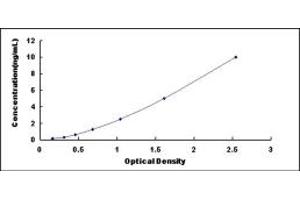 Typical standard curve (DYRK1A ELISA Kit)