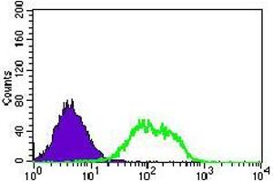 Flow cytometric analysis of HEK293 cells using GUCY1A3 mouse mAb (green) and negative control (purple). (GUCY1A1 Antikörper  (AA 22-214))