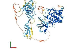 Protein Structure (PS) image for LIM Domain Kinase 1 (LIMK1) (AA 1-647) protein (His tag) (ABIN7554431)