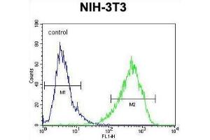 Flow Cytometry (FACS) image for anti-Homeobox and Leucine Zipper Encoding (HOMEZ) antibody (ABIN2995832)