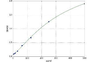 Growth Regulated Oncogene gamma (GRO gamma) ELISA Kit