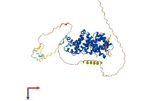 PDCD4 Protein (AA 1-469) (His tag)