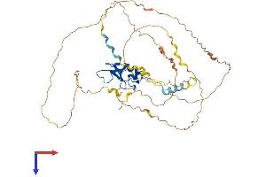 RNF44 Protein (AA 1-432) (His tag)