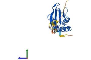 Protein Structure (PS) image for BTG Family, Member 2 (BTG2) (AA 1-158) protein (His tag) (ABIN7556879)