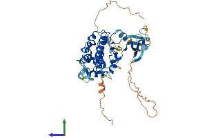 AlphaFold protein structure predicition of Human Recombinant CDK15 Protein, UniprotID Q96Q40