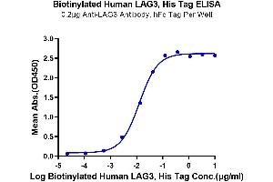 Immobilized Anti-LAG3 Antibody, hFc Tag at 2 μg/mL (100 μL/well) on the plate. (LAG3 Protein (AA 23-434) (His-Avi Tag,Biotin))