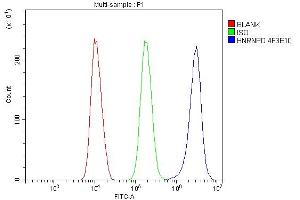 Flow Cytometry analysis of SiHa cells using anti- hnRNP D/AUF1/HNRNPD antibody (ABIN7602592). (HNRNPD/AUF1 Antikörper  (AA 88-246))