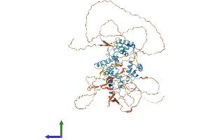 Protein Structure (PS) image for Cyclin D Binding Myb-Like Transcription Factor 1 (DMTF1) (AA 1-761) protein (His tag) (ABIN7564551)