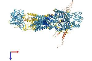 ABCA6 Protein (AA 1-1624) (His tag)