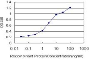 Detection limit for recombinant GST tagged ANXA10 is approximately 0. (Annexin a10 Antikörper  (AA 1-324))